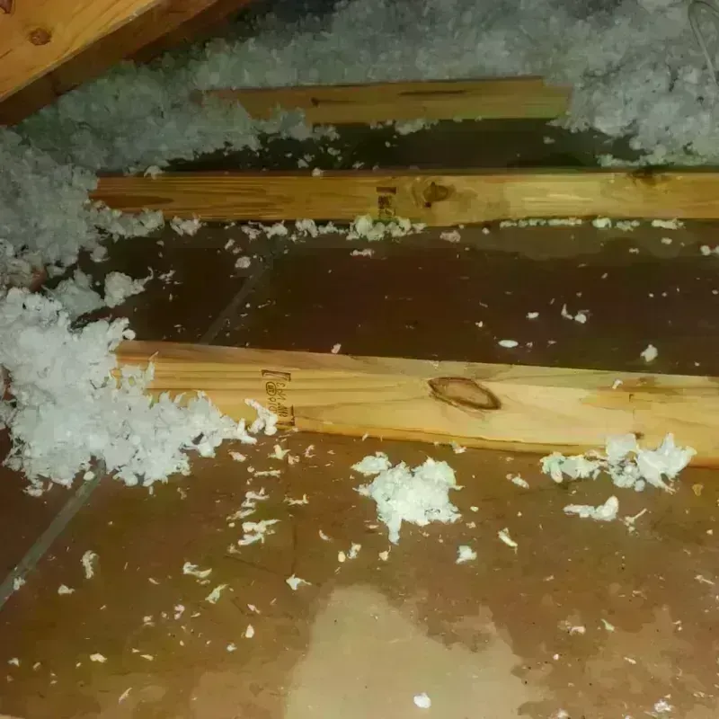 Attic Water Damage in Priceville, AL