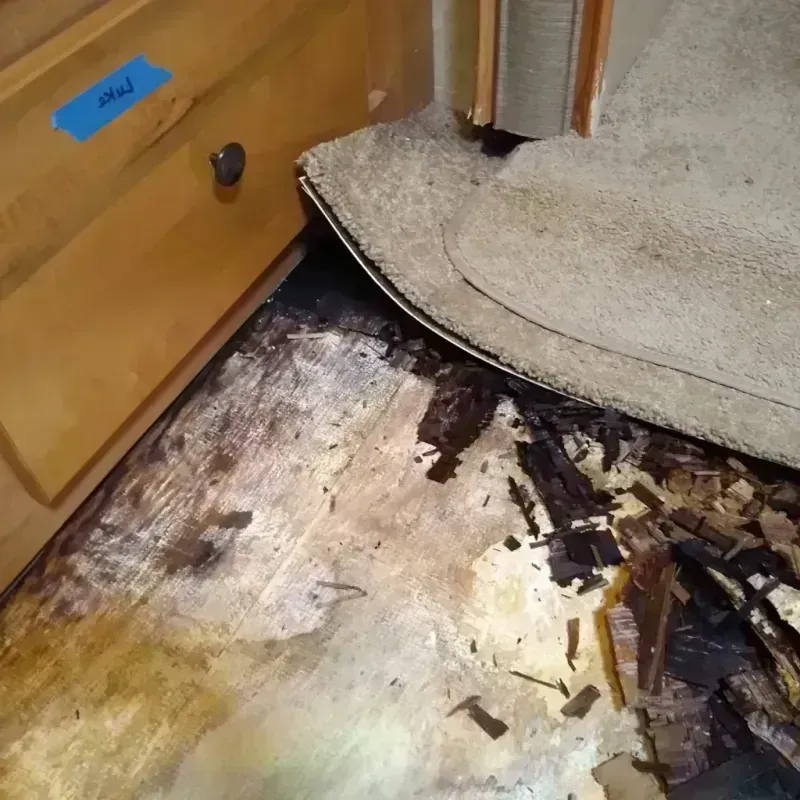 Wood Floor Water Damage in Priceville, AL